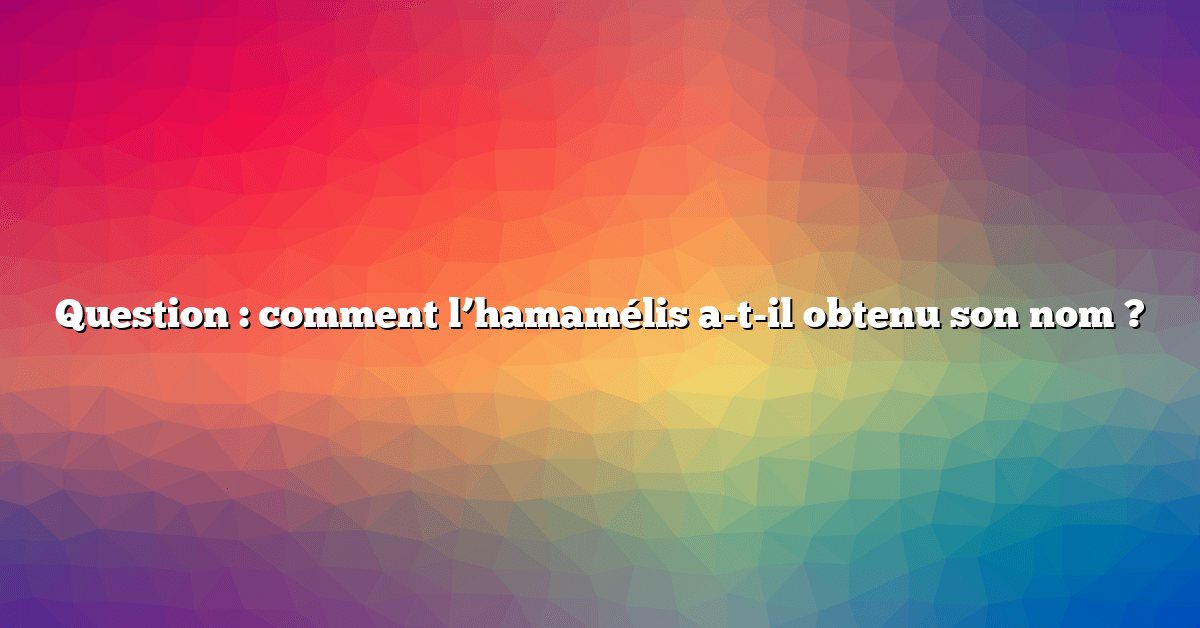 Question : comment l’hamamélis a-t-il obtenu son nom ?